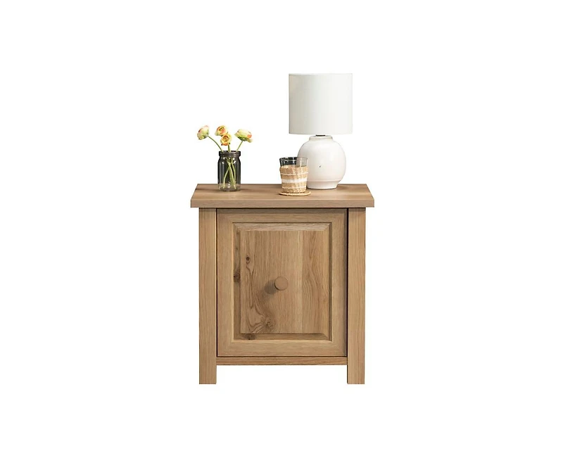 Casainc Storage Cabinet with Door