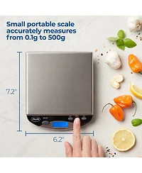Amw-500I Compact Digital Bench Scale, 500G X 0.1G