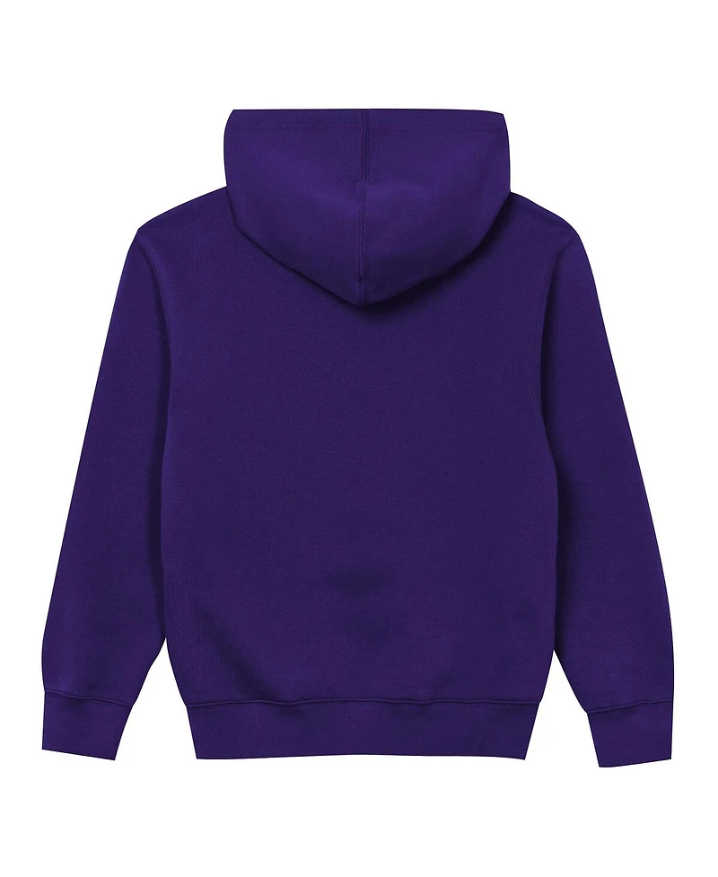 Outerstuff Preschool Purple Minnesota Vikings Back to Basics Hoodie