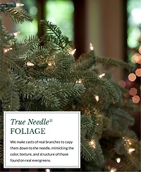 Balsam Hill 120" Bh Fraser Fir Christmas Garland