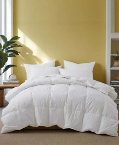 Unikome 100 Cotton All Season Goose Down Feather Comforter