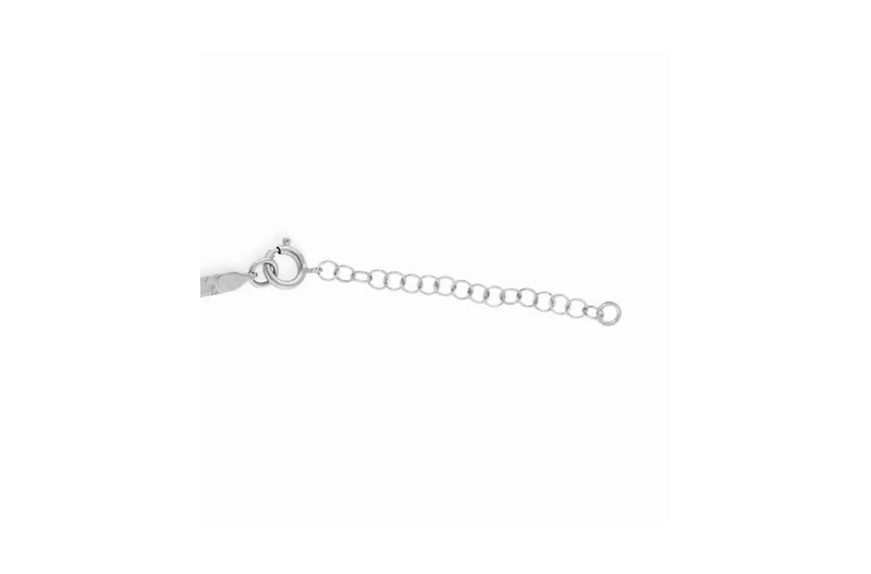 The Lovery Inch Extender Chain 14K White Gold