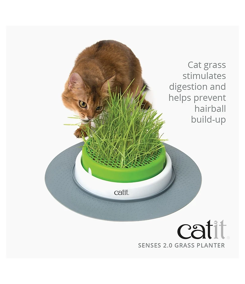 Catit Senses 2.0 Grass Planter, Retail
