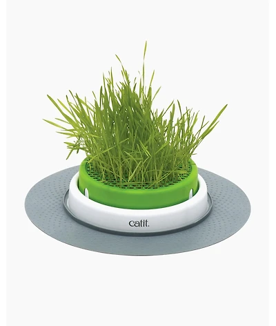 Catit Senses 2.0 Grass Planter, Retail