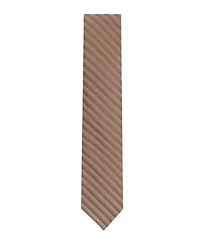 Calvin Klein Men's Margot Stripe Tie