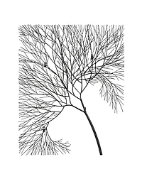 Phillips Collection Wire Tree Rectangular Metal Wall Art