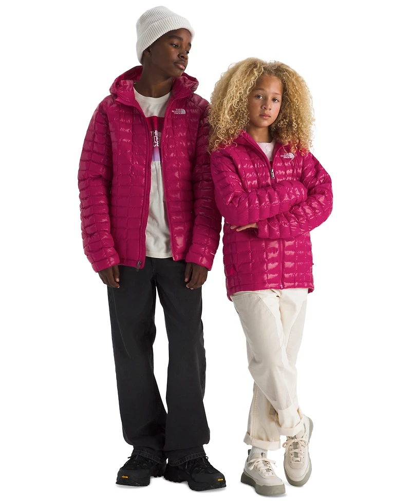 The North Face Boys and Girls Xs-xxl Hooded Jacket