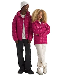 The North Face Boys and Girls Xs-xxl Hooded Jacket