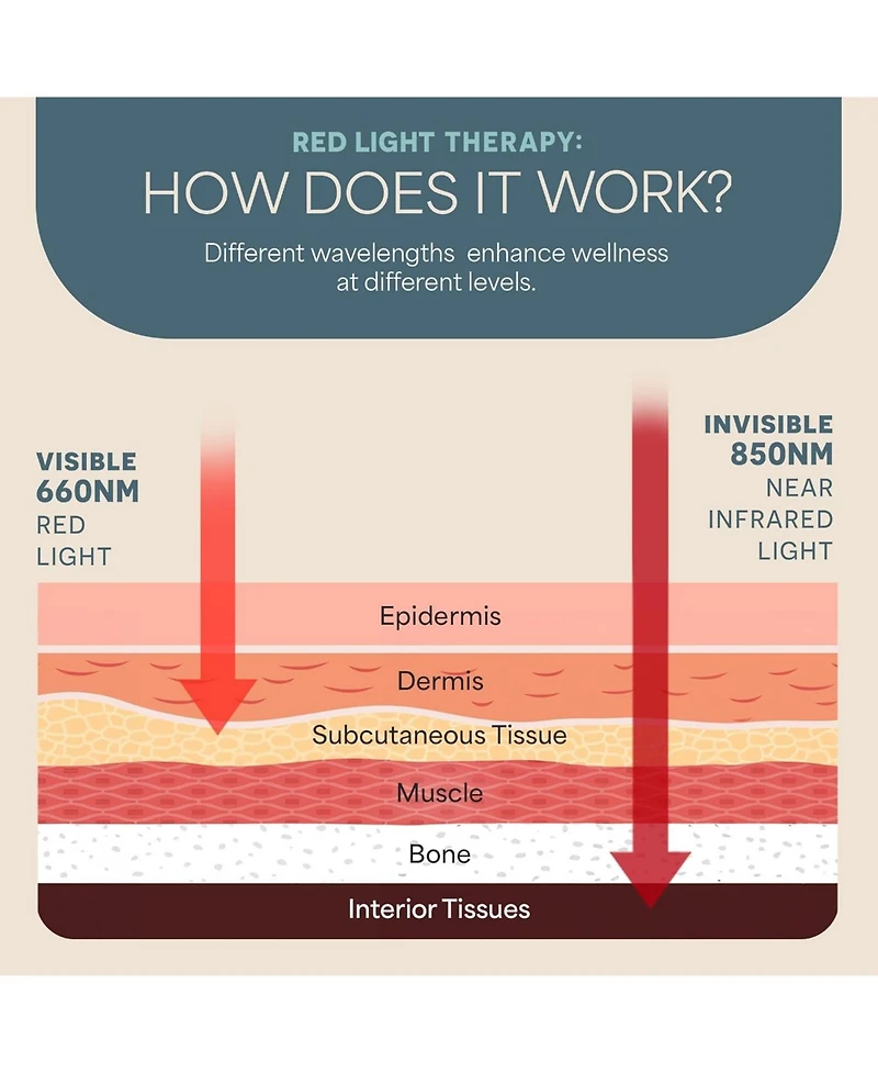 LifePro Red Light Therapy Panel - Infrared Light for Pain Relief, Inflammation, Skin Health, and Improved Circulation
