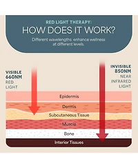 LifePro Red Light Therapy Panel - Infrared Light for Pain Relief, Inflammation, Skin Health, and Improved Circulation