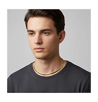 Sterling Silver 14K Gold Plated Omega Necklace