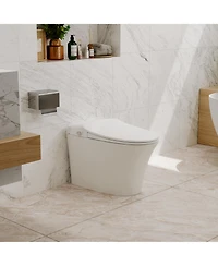 Casainc Luxury Smart Tankless Bathroom Fixture with Dryer and Warm Water,Heated Seat, Night Light, Kick/Blackout Flush