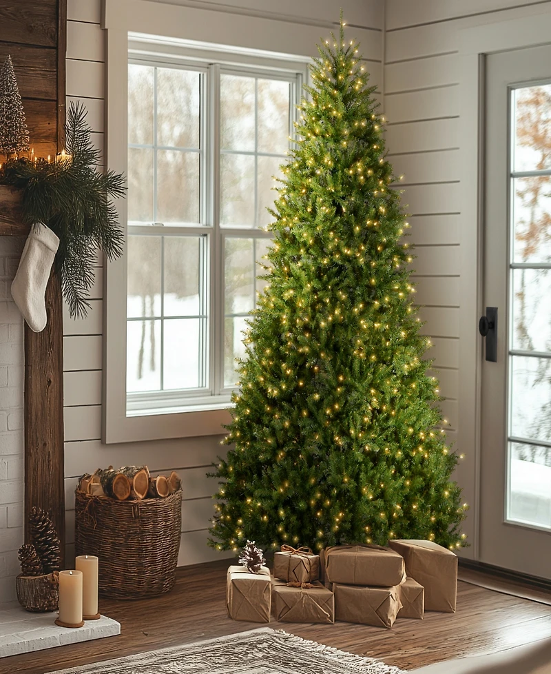 National Tree Company 9' Dunhill Fir Hinged Tree with Clear Lights