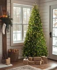 National Tree Company 9' Dunhill Fir Hinged Tree with Clear Lights