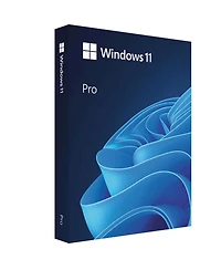 Microsoft Windows 11 Professional 64-Bit, Single License, Dvd