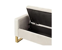 Hulala Home Transitional Aurora 50.4" Wide Storage Bench