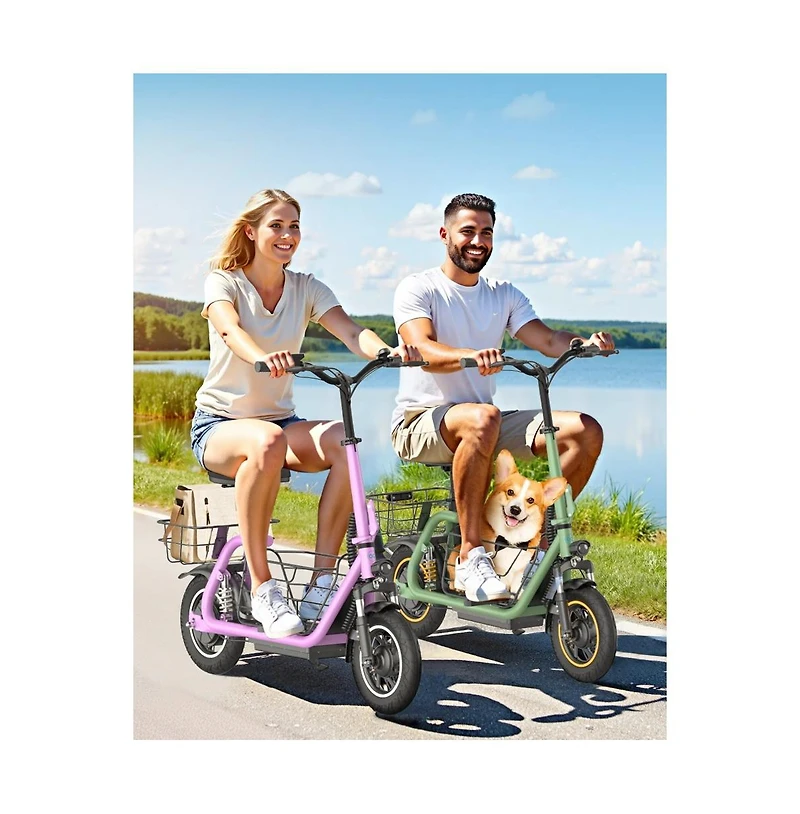 Everyfun 550W Electric Scooter with Seat for Adult.