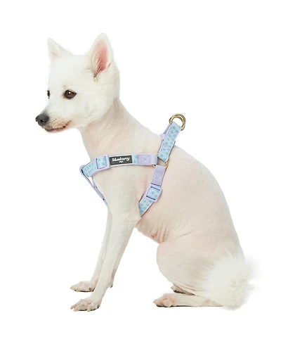 Blueberry Pet Velvety Polka Dot Dog Step-in Harness with with Bow