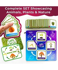 Quokka Life CycleToys for Kids - 30 Flashcards Toddler Science Kit Ages 2-4 - 120 Magnetic Flash Cards