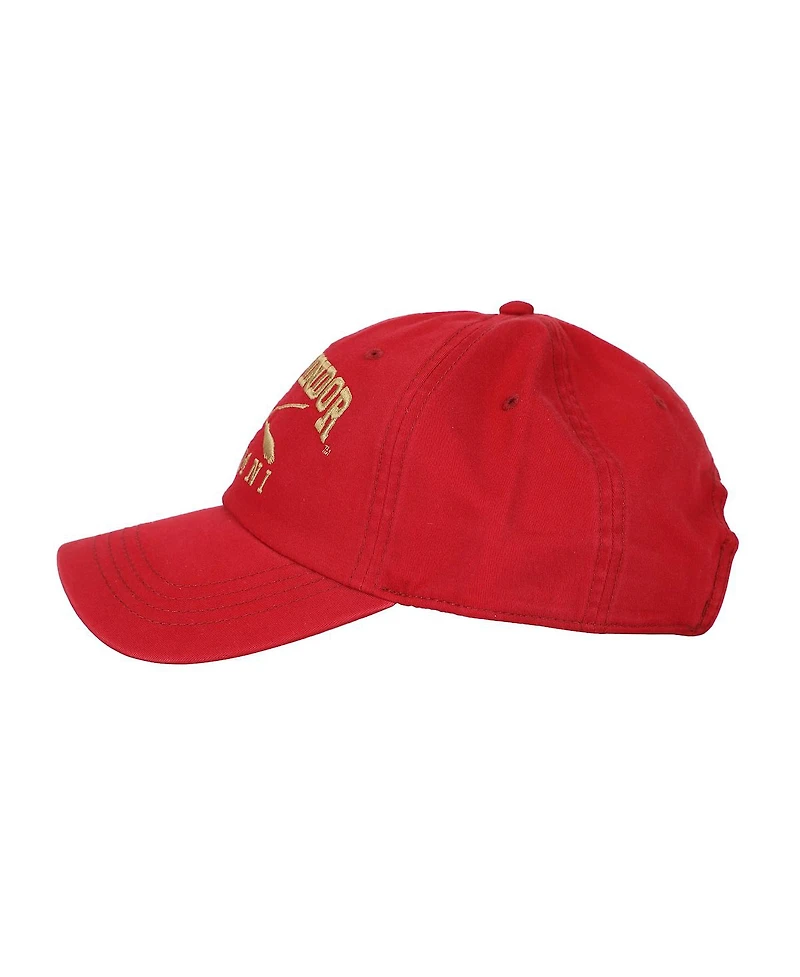 Harry Potter Men's Gryffindor Alumni Adult Unstructured Baseball Cap