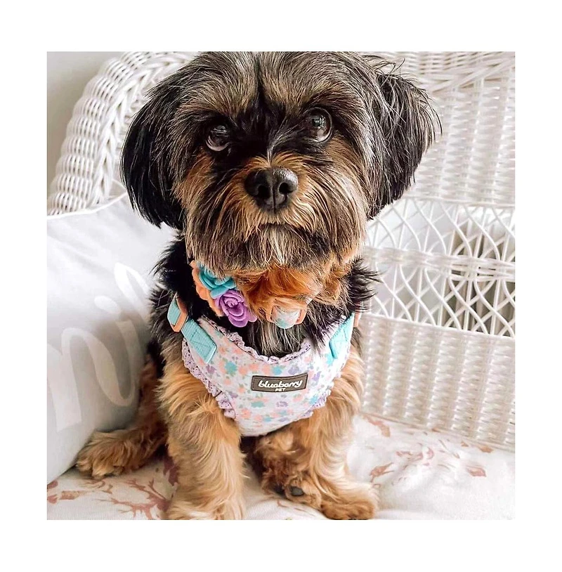 Blueberry Pet Made Well Floral Print Dog Harness Vest With Lace Trim