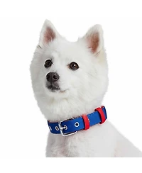 Blueberry Pet Color-Block with Metal Buckle Dog Collar