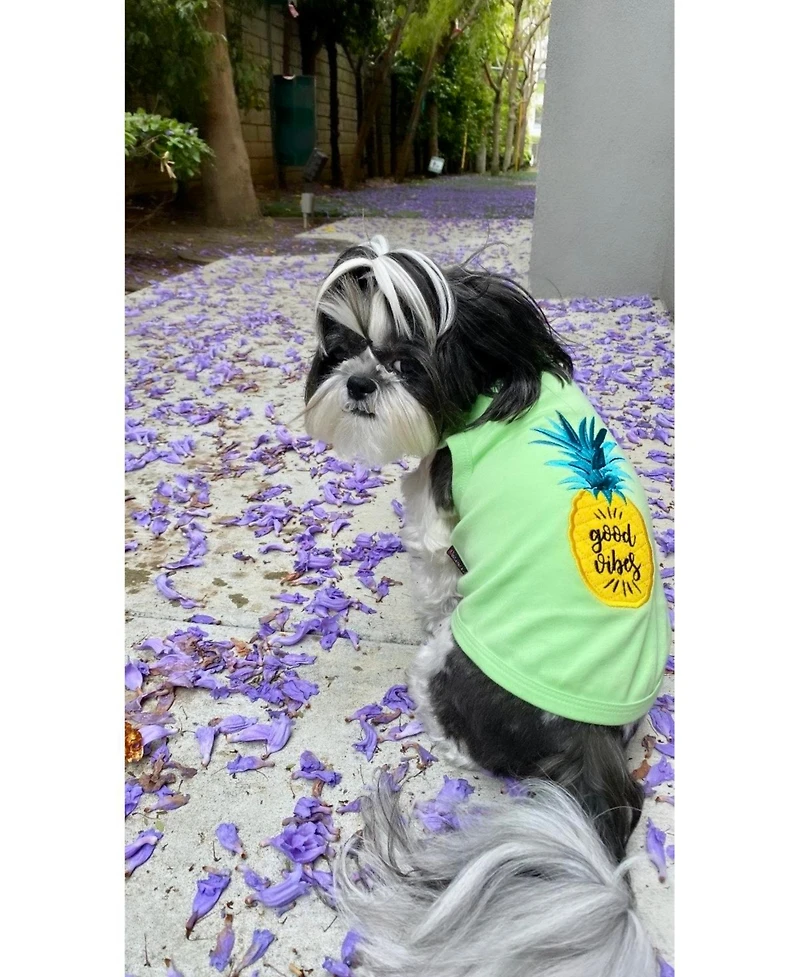 Parisian Pet Pineapple