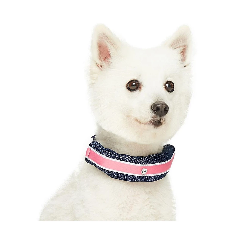 Dogs & Cats Co. Striped Dog Collar with Removable Padded Comfort Cover Red and Pink