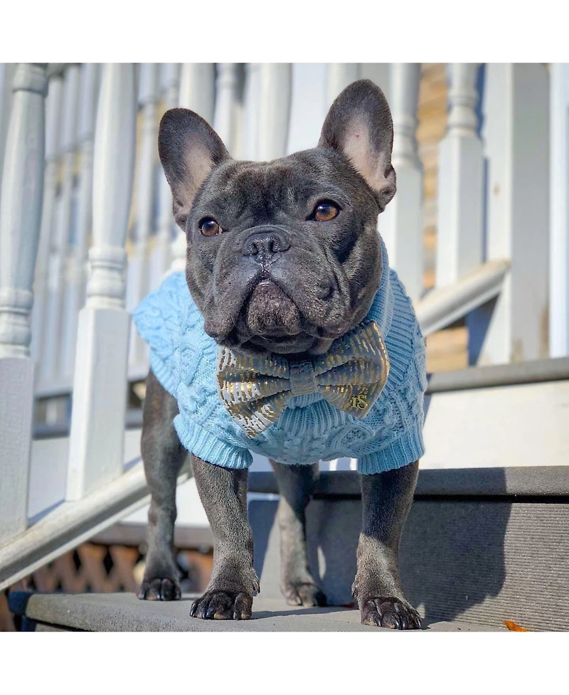 Parisian Pet Cable Knit Sweater Powder Blue