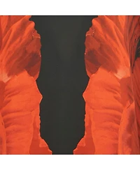 Pre-Owned Alexander Mcqueen Women's Black And Orange Floral Print Silk Maxi Dress