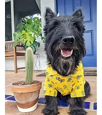 Parisian Pet Cactus Camp Shirt