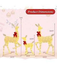 3 Pcs Lighted Family Deer Set with Led Lights Rgb Flashing Lights 12 Ground Stakes