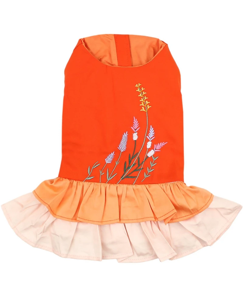 Parisian Pet Dress Color Block Garden
