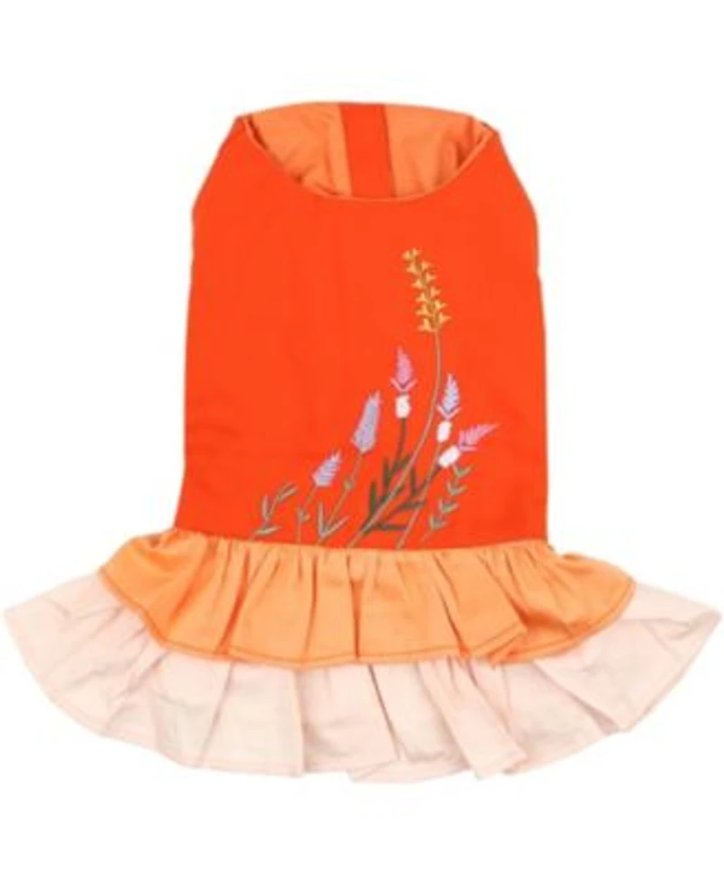 Parisian Pet Dress Color Block Garden