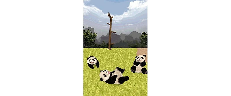 Namco Bandai National Geographic Panda - Nintendo Ds