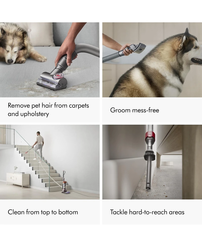 Dyson Ball Animal 3 Extra Upright Vacuum