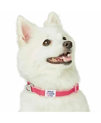 Dogs&Cats&Co. Blueberry Pet Two-Tone Contrast Trimmed Dog Collar with Safety Aluminum D-Ring
