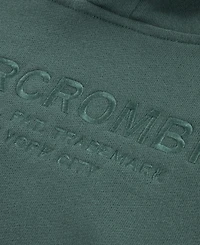 abercrombie kids Boys 5-18 Vintage Fleece Crewneck Hoodie