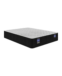 Spring Air Back Supporter Amelia 12" Hybrid Firm Tight Top Mattress Set, Queen