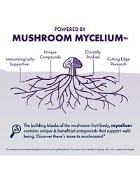Host Defense MycoBotanicals Brain Capsules, 120 ct (Pack of Two 60 ct Units)
