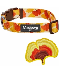 Blueberry Pet Fall Thanksgiving Dog Collar with Detachable Decor