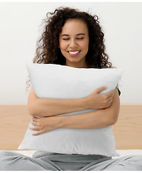 Cheer Collection Feather Decorative Pillow