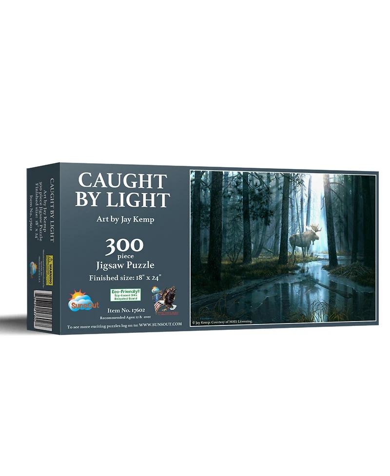 SunsOut Caught by Light 300 piece Jigsaw Puzzle for Adults