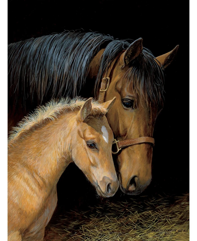 SunsOut Bonding 500 piece Jigsaw Puzzle for Adults