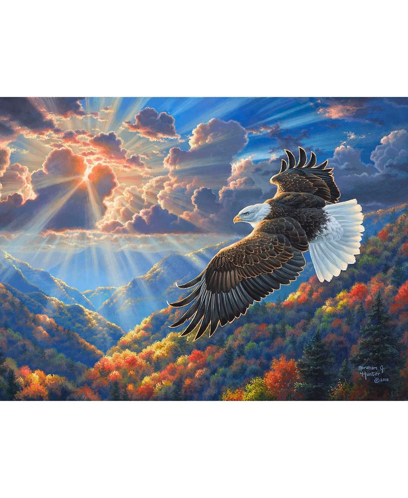 SunsOut Beautiful Freedom 1000 piece Jigsaw Puzzle for Adults