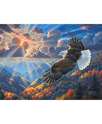 SunsOut Beautiful Freedom 1000 piece Jigsaw Puzzle for Adults