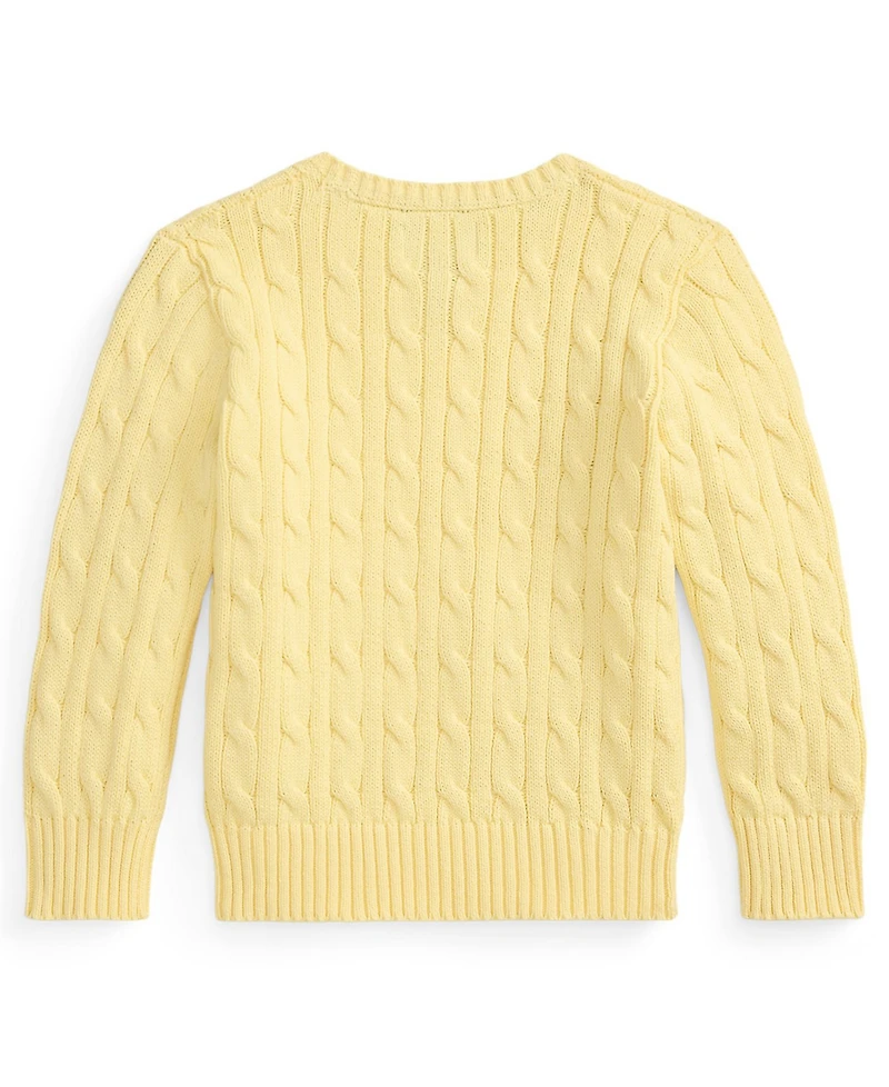 Polo Ralph Lauren Boys' 2-7 Crewneck Cable-Knit Sweater