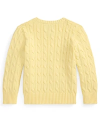 Polo Ralph Lauren Boys' 2-7 Crewneck Cable-Knit Sweater