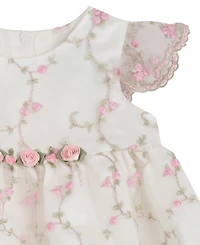 Rare Editions Baby Girls' Flower Vine Embroidery Round Neck Mesh Dress and Panty, 2-Piece Set