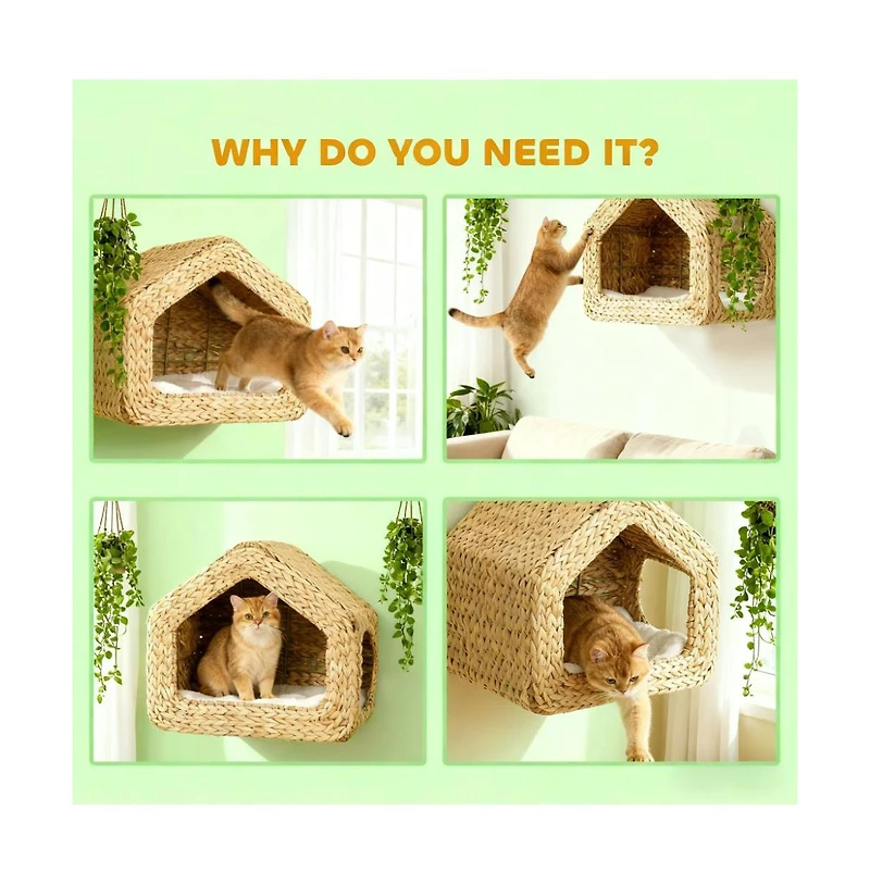 Zeus & Ruta Wall Mounted Cat House